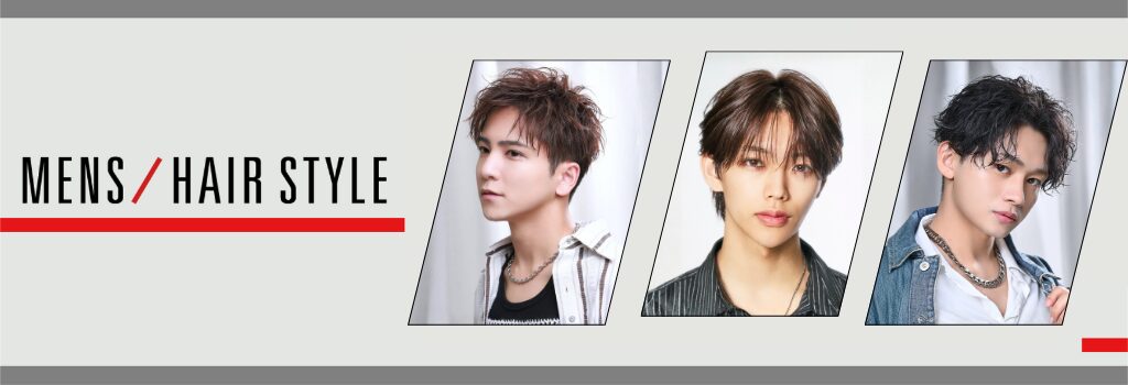 MENS  HAIR STYLE